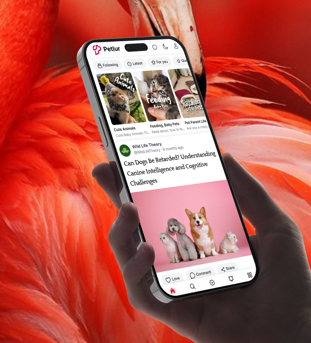 Petlur - For Pet People - Android & IOS applications