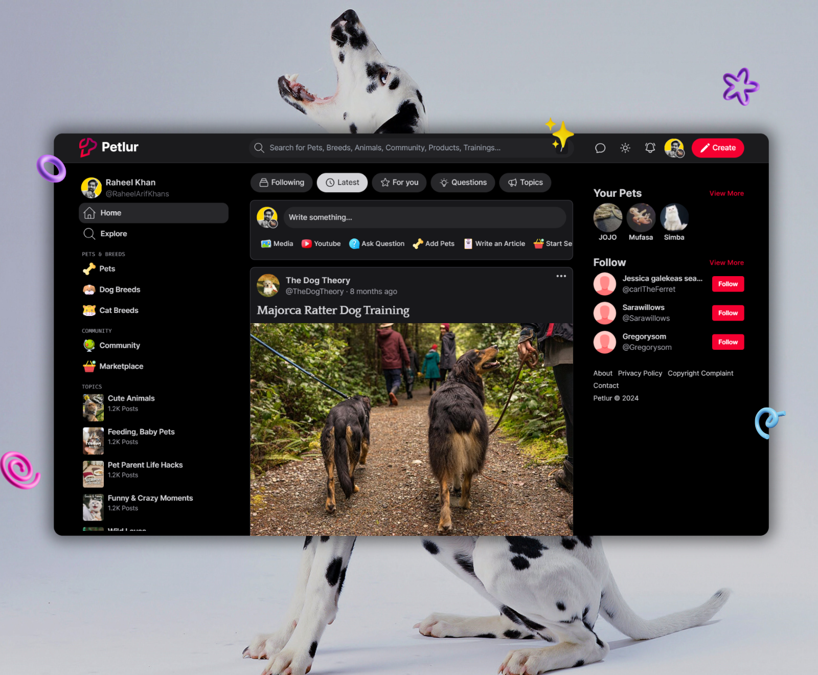 Petlur - For Pet People - Web application